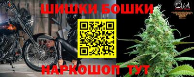 прущие грибы Канаш