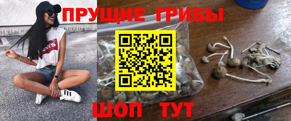 Псилоцибиновые грибы Magic Shrooms  Псилоцибиновые грибы Psilocybe  Вход с VPN  Лесозаводск 